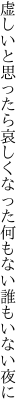 虚しいと思ったら哀しくなった 何もない誰もいない夜に