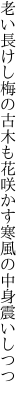 老い長けし梅の古木も花咲かす 寒風の中身震いしつつ