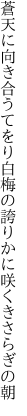 蒼天に向き合うてをり白梅の 誇りかに咲くきさらぎの朝