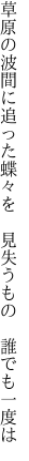 草原の波間に追った蝶々を  見失うもの 誰でも一度は