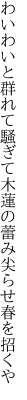 わいわいと群れて騒ぎて木蓮の 蕾み尖らせ春を招くや