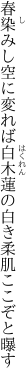 春染みし空に変れば白木蓮の 白き柔肌ここぞと曝す