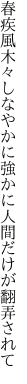 春疾風木々しなやかに強かに 人間だけが翻弄されて