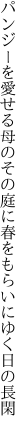 パンジーを愛せる母のその庭に 春をもらいにゆく日の長閑