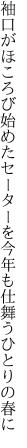 袖口がほころび始めたセーターを 今年も仕舞うひとりの春に