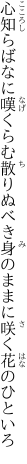 心知らばなに嘆くらむ散りぬべき 身のままに咲く花のひといろ