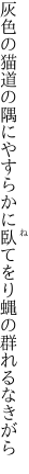 灰色の猫道の隅にやすらかに 臥てをり蝿の群れるなきがら