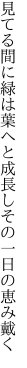 見てる間に緑は葉へと成長し その一日の恵み戴く