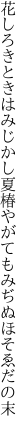 花しろきときはみじかし夏椿 やがてもみぢぬほそゑだの末