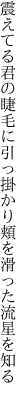 震えてる君の睫毛に引っ掛かり 頬を滑った流星を知る