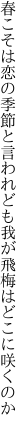 春こそは恋の季節と言われども 我が飛梅はどこに咲くのか