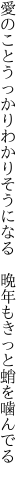 愛のことうっかりわかりそうになる　 晩年もきっと蛸を噛んでる