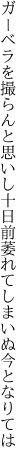 ガーベラを撮らんと思いし十日前 萎れてしまいぬ今となりては