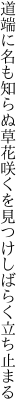 道端に名も知らぬ草花咲くを 見つけしばらく立ち止まる