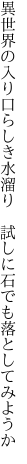 異世界の入り口らしき水溜り 　試しに石でも落としてみようか