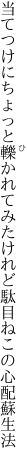 当てつけにちょっと轢かれてみたけれど 駄目ねこの心配蘇生法