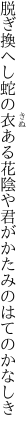 脱ぎ換へし蛇の衣ある花陰や 君がかたみのはてのかなしき