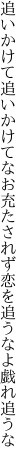 追いかけて追いかけてなお充たされず 恋を追うなよ戯れ追うな