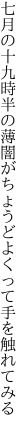 七月の十九時半の薄闇が ちょうどよくって手を触れてみる