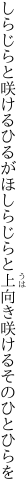 しらじらと咲けるひるがほしらじらと 上向き咲けるそのひとひらを