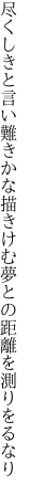 尽くしきと言い難きかな 描きけむ夢との距離を測りをるなり