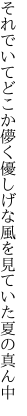 それでいてどこか儚く優しげな 風を見ていた夏の真ん中