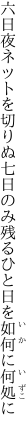 六日夜ネットを切りぬ七日のみ 残るひと日を如何に何処に