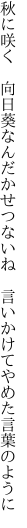 秋に咲く 向日葵なんだかせつないね  言いかけてやめた言葉のように