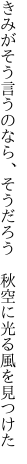 きみがそう言うのなら、そうだろう  秋空に光る風を見つけた