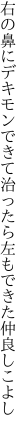 右の鼻にデキモンできて治ったら 左もできた仲良しこよし