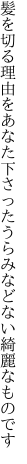 髪を切る理由をあなた下さった うらみなどない綺麗なものです