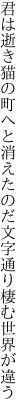 君は逝き猫の町へと消えたのだ 文字通り棲む世界が違う