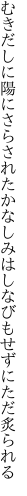 むきだしに陽にさらされたかなしみは しなびもせずにただ炙られる