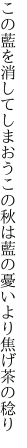 この藍を消してしまおうこの秋は 藍の憂いより焦げ茶の稔り