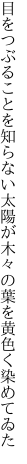 目をつぶることを知らない太陽が 木々の葉を黄色く染めてゐた