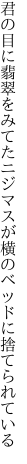 君の目に翡翠をみてたニジマスが 横のベッドに捨てられている