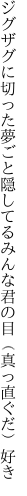 ジグザグに切った夢ごと隠してる みんな君の目（真っ直ぐだ）好き