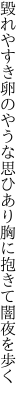 毀れやすき卵のやうな思ひあり 胸に抱きて闇夜を歩く