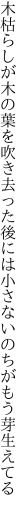 木枯らしが木の葉を吹き去った後には 小さないのちがもう芽生えてる