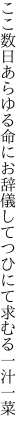 ここ数日あらゆる命にお辞儀して つひにて求むる一汁一菜