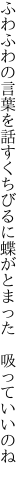 ふわふわの言葉を話すくちびるに 蝶がとまった　吸っていいのね