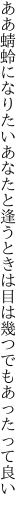 ああ蜻蛉になりたいあなたと逢うときは 目は幾つでもあったって良い