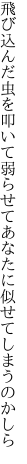 飛び込んだ虫を叩いて弱らせて あなたに似せてしまうのかしら