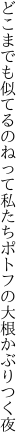 どこまでも似てるのねって私たち ポトフの大根かぶりつく夜