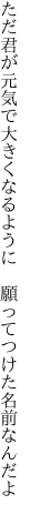 ただ君が元気で大きくなるように  願ってつけた名前なんだよ