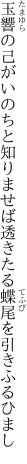 玉響の己がいのちと知りませば 透きたる蝶尾を引きふるひまし