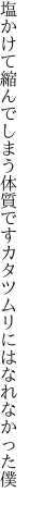 塩かけて縮んでしまう体質です カタツムリにはなれなかった僕