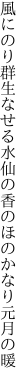 風にのり群生なせる水仙の 香のほのかなり元月の暖