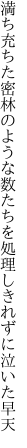 満ち充ちた密林のような数たちを 処理しきれずに泣いた早天