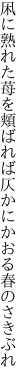 凩に熟れた苺を頬ばれば 仄かにかおる春のさきぶれ